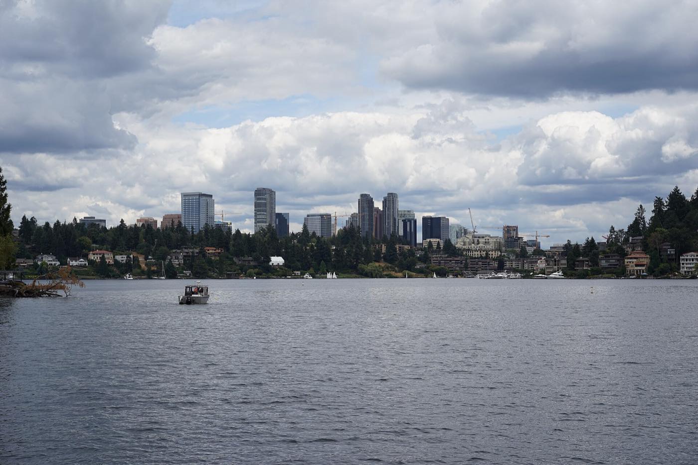 Downtown Bellevue skyline seen from Lake Washington on the Eastside